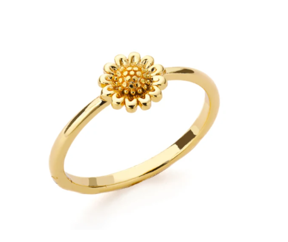 Anillo Acero Inoxidable Ajustable