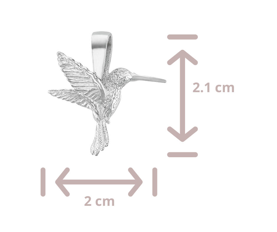 Dije Colibrí Plata .925