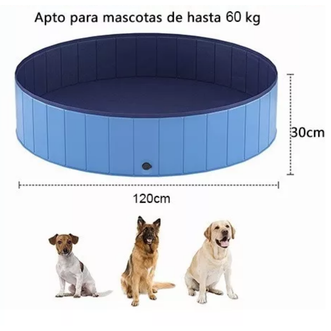 Piscina Mascota