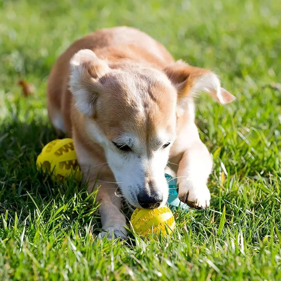 Pelota limpieza y cuidado dental